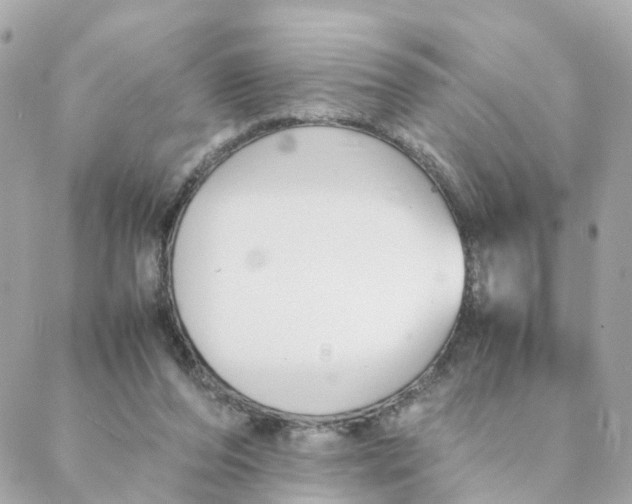 X0000088170208200706051125