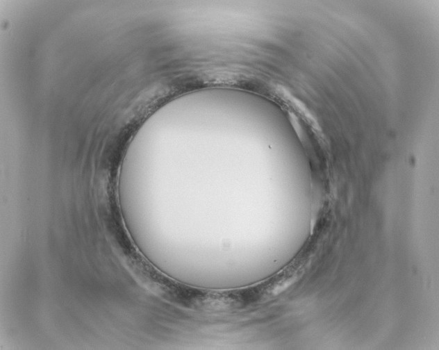 X0000088170209200706051125