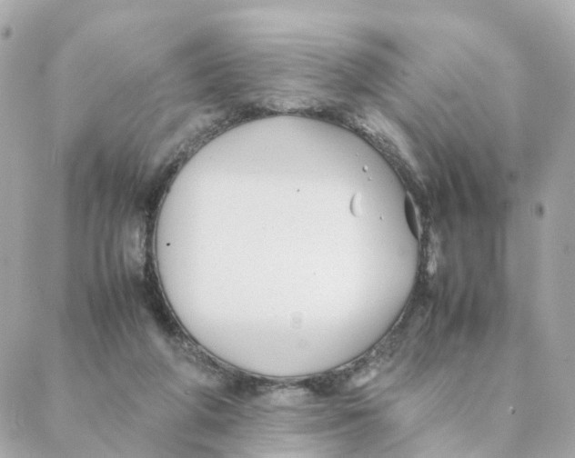 X0000088170210200706051125