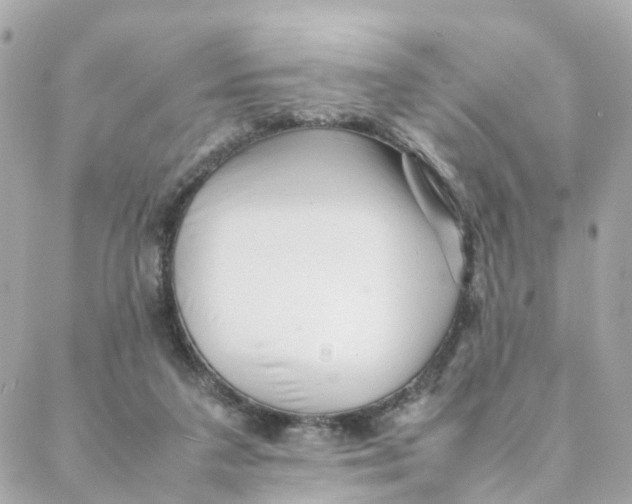 X0000088170211200706051125