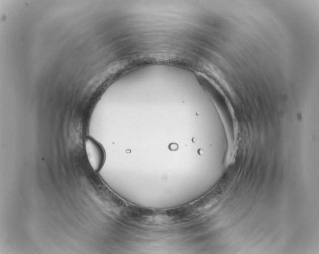 X0000088170212200706051125