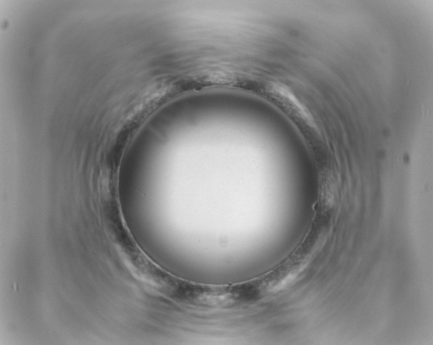 X0000088170213200706051125