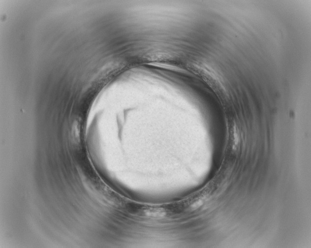 X0000088170214200706051125