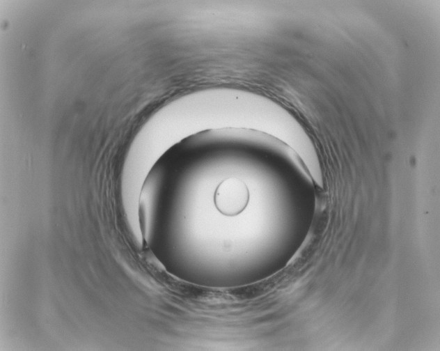 X0000088170215200706051125