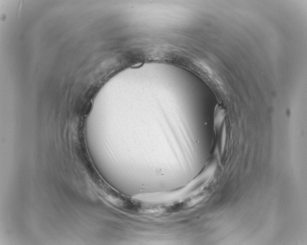 X0000088170217200706051125