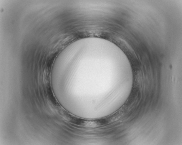 X0000088170218200706051125