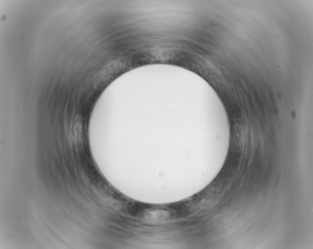 X0000088170220200706051124