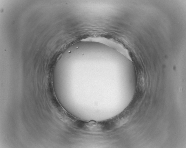 X0000088170221200706051124