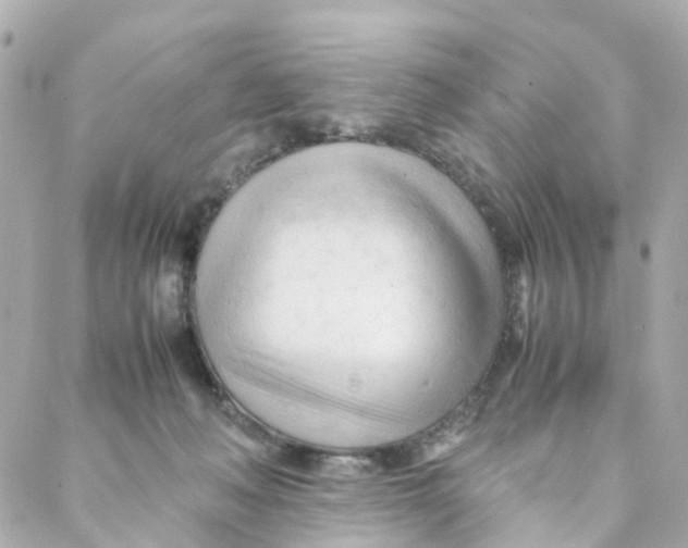 X0000088170222200706051124