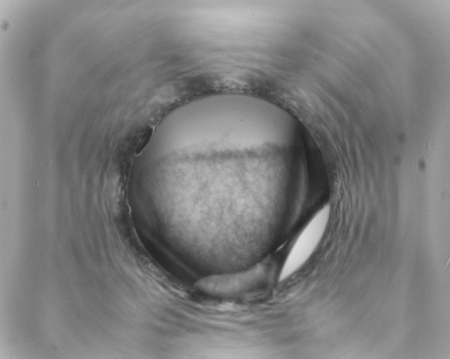 X0000088170223200706051124