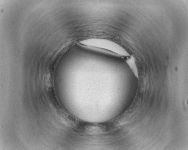 X0000088170224200706051124