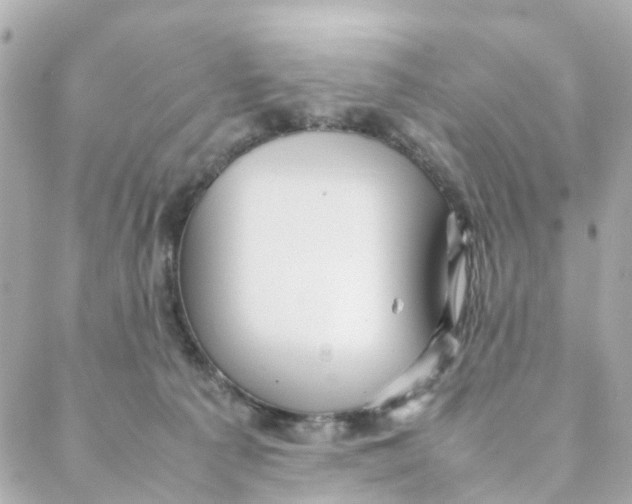 X0000088170225200706051124