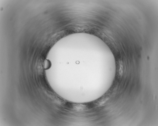 X0000088170226200706051124