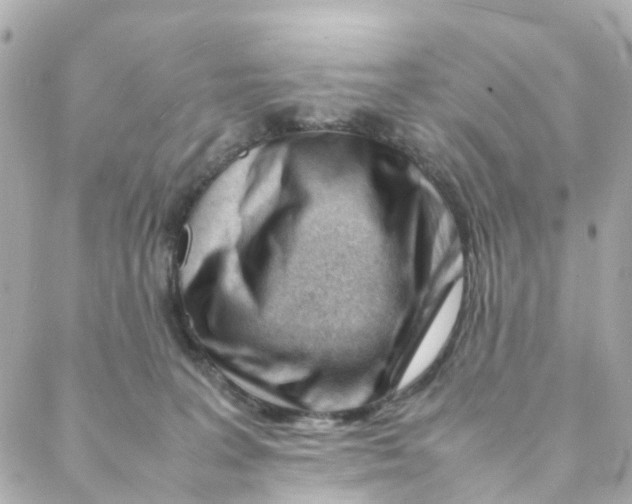 X0000088170227200706051124