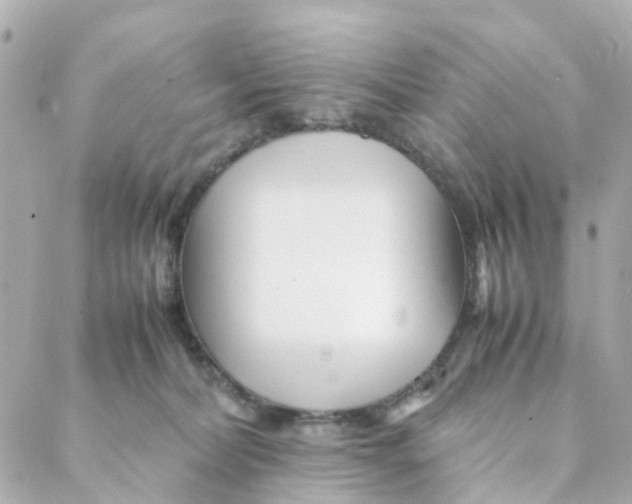 X0000088170228200706051124