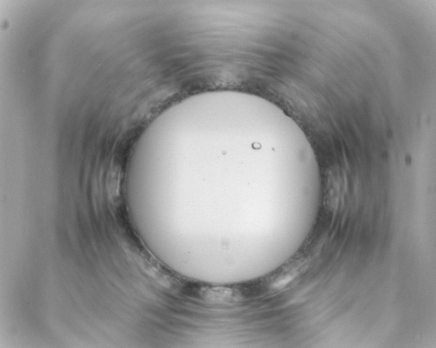 X0000088170230200706051124