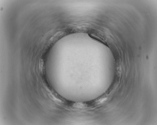 X0000088170231200706051124