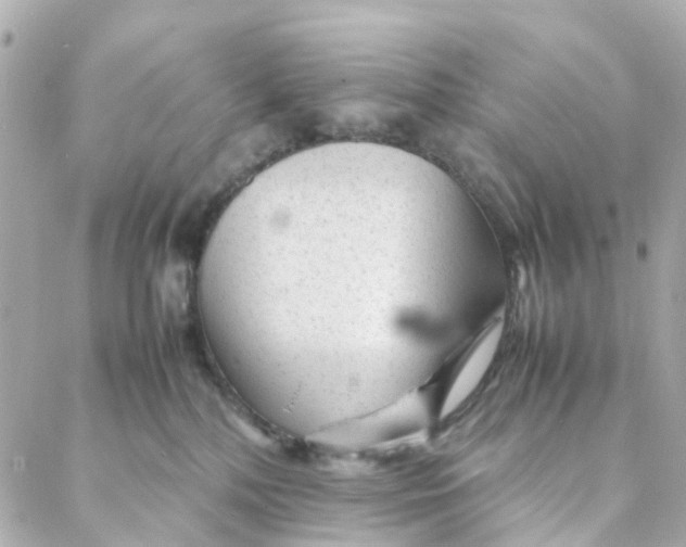 X0000088170232200706051124