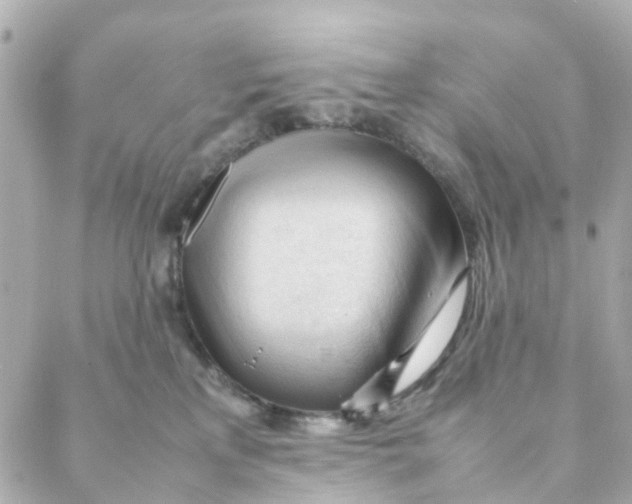 X0000088170233200706051124