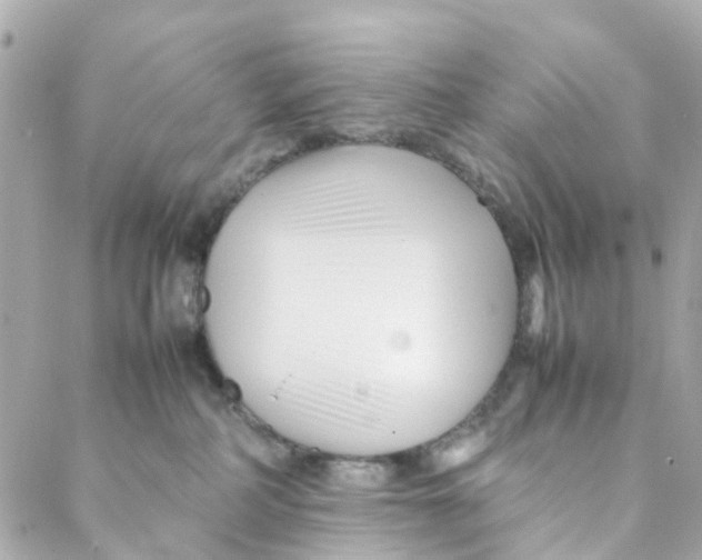 X0000088170234200706051124