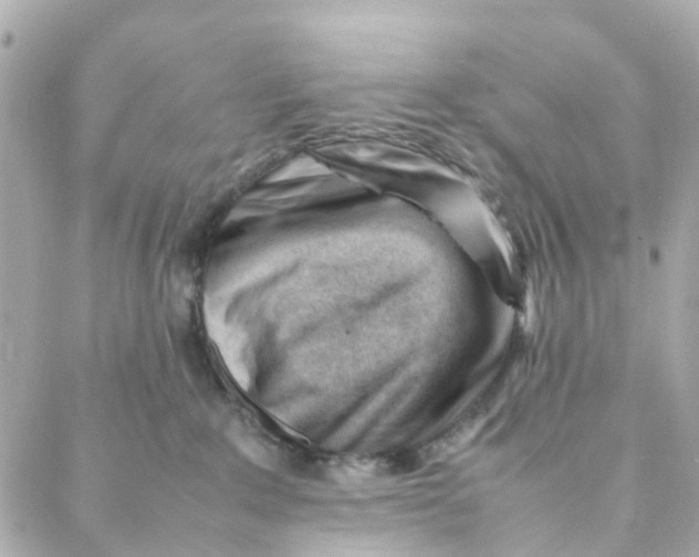 X0000088170235200706051124