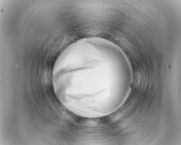 X0000088170236200706051124