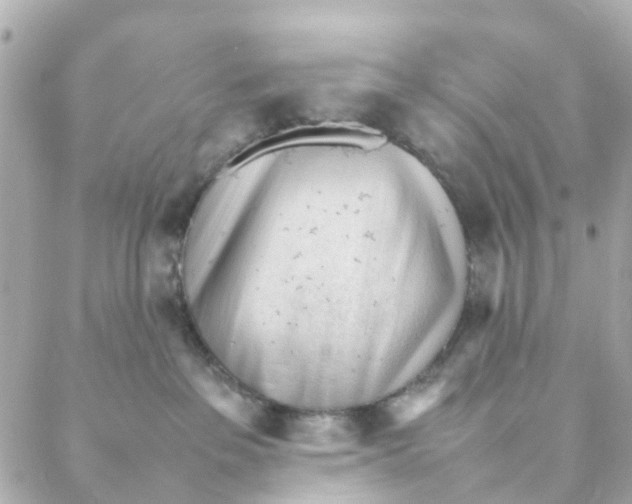 X0000088170237200706051124