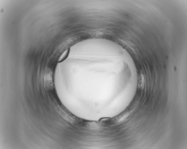 X0000088170238200706051124