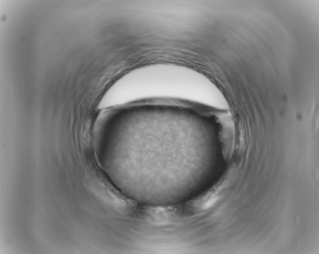 X0000088170239200706051124