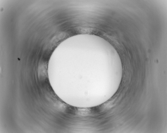 X0000088170240200706051124