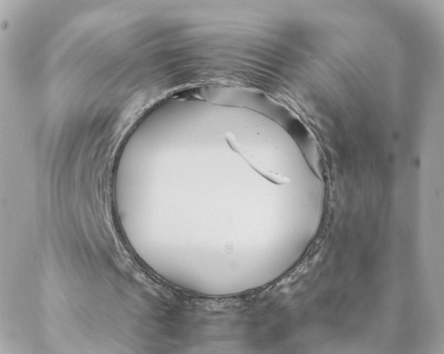 X0000088170241200706051123