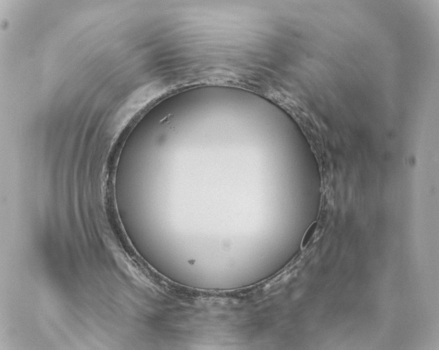 X0000088170242200706051123