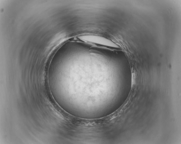 X0000088170243200706051123