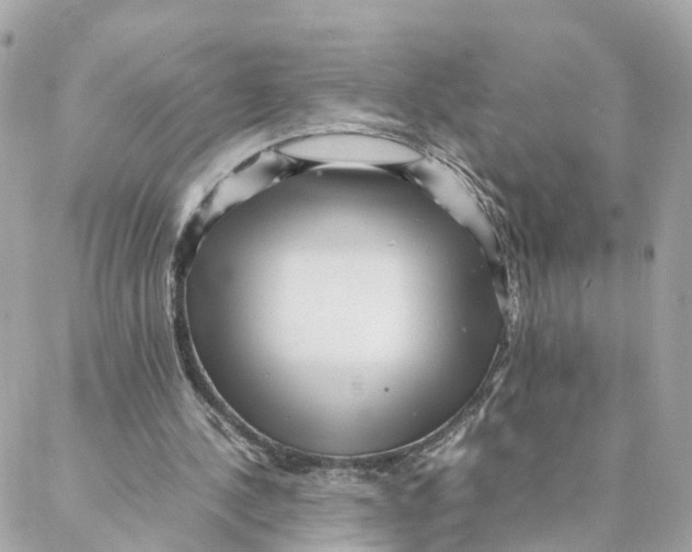 X0000088170244200706051123