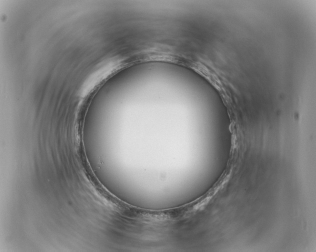 X0000088170245200706051123