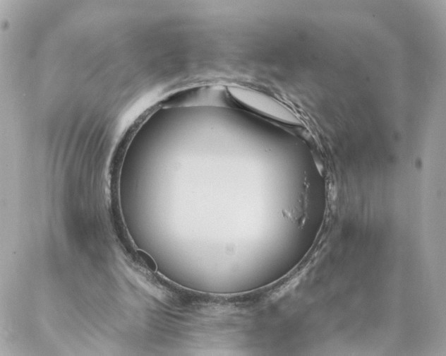 X0000088170246200706051123