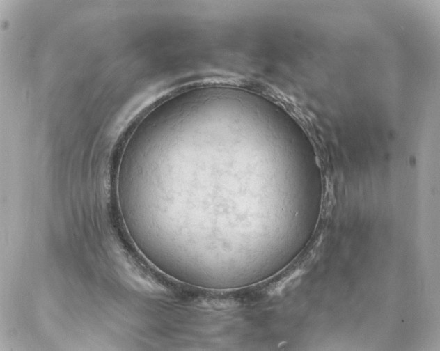 X0000088170247200706051123