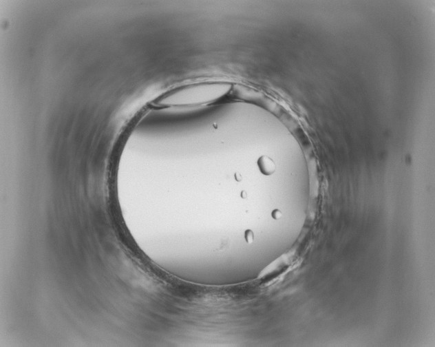 X0000088170248200706051123