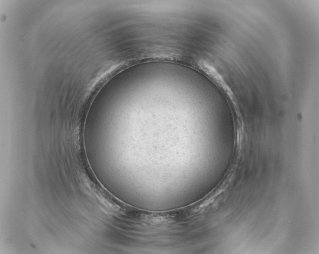 X0000088170249200706051124