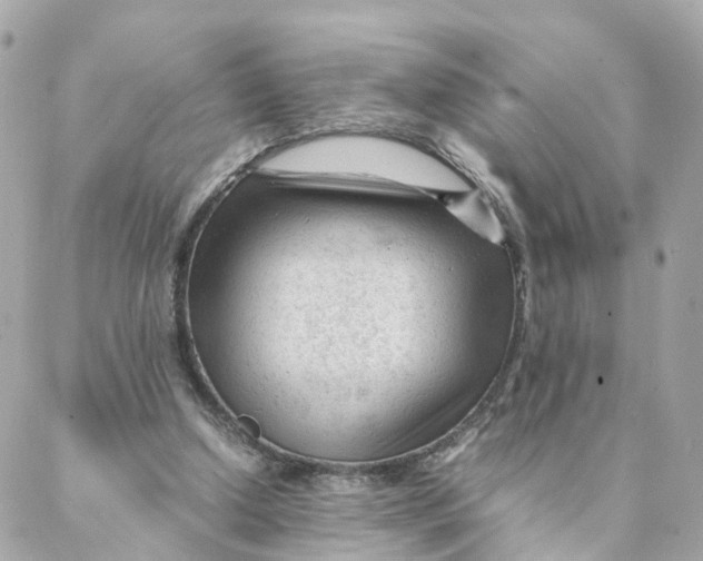 X0000088170250200706051124