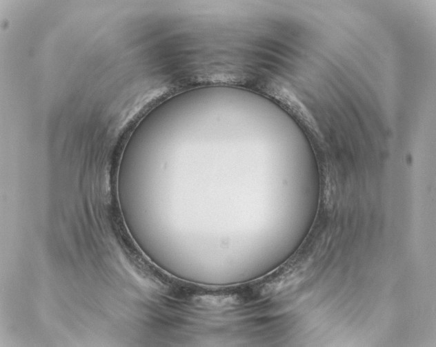 X0000088170251200706051124