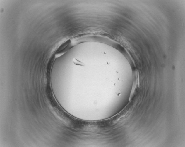 X0000088170252200706051124