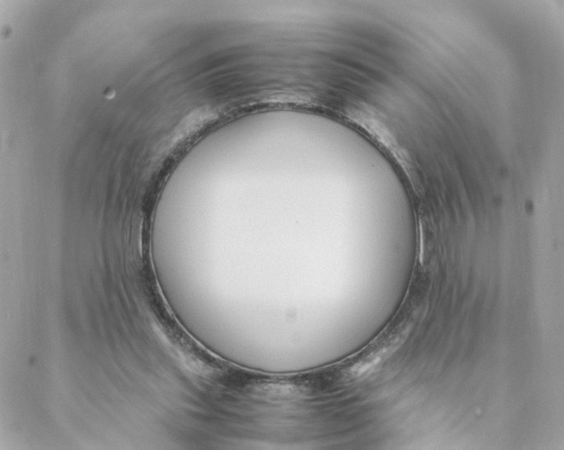 X0000088170253200706051124