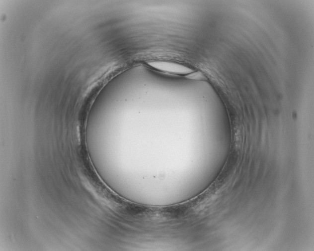 X0000088170254200706051124