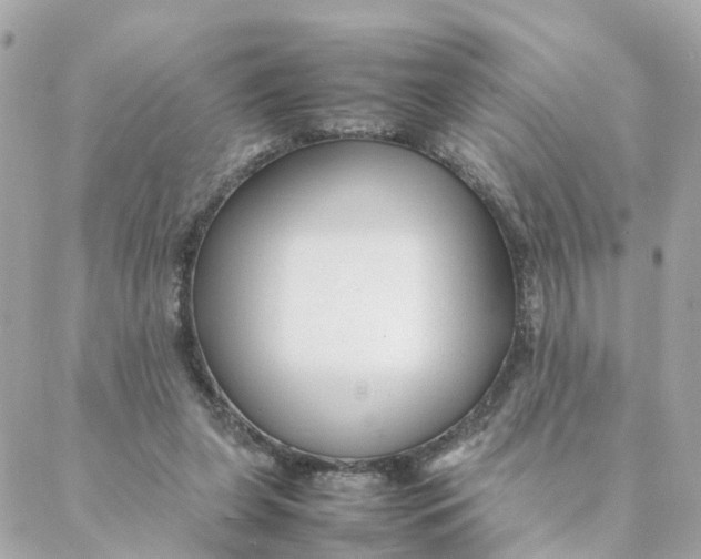 X0000088170255200706051124