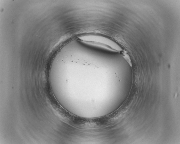 X0000088170256200706051124