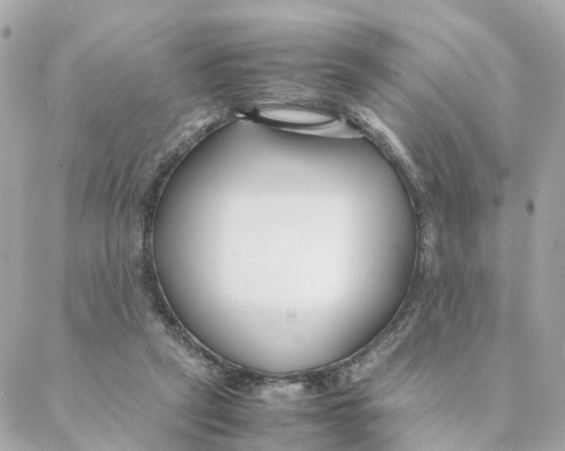 X0000088170257200706051124