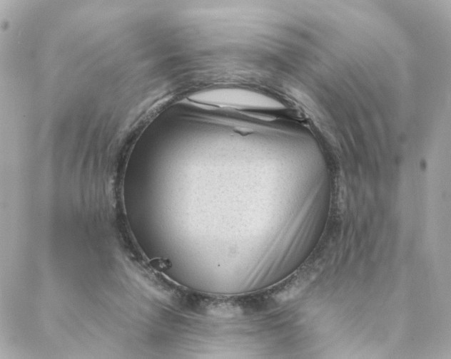 X0000088170258200706051124