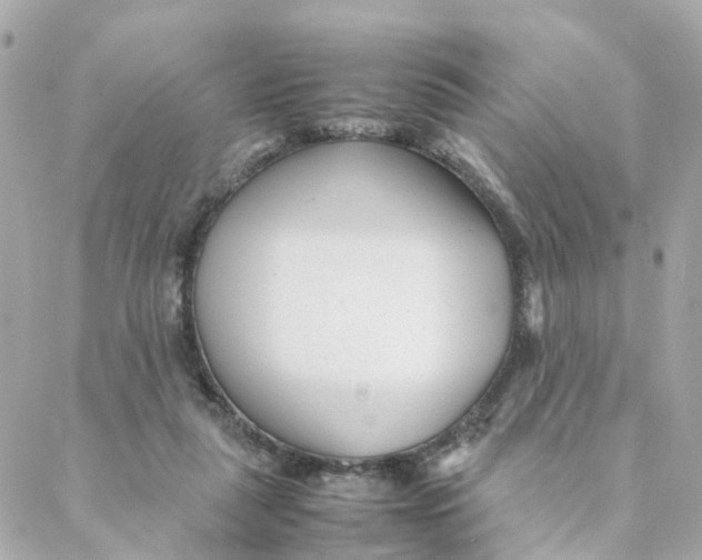 X0000088170259200706051124