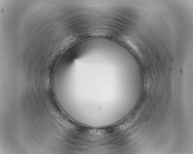 X0000088170261200706051124